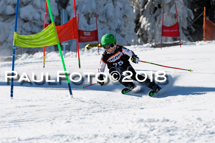Ziener Cup WF, Finale, Quali + Parallelslalom, 24.03.2018