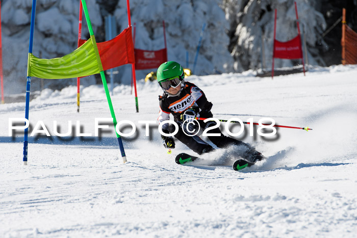 Ziener Cup WF, Finale, Quali + Parallelslalom, 24.03.2018