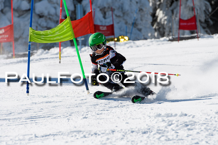 Ziener Cup WF, Finale, Quali + Parallelslalom, 24.03.2018