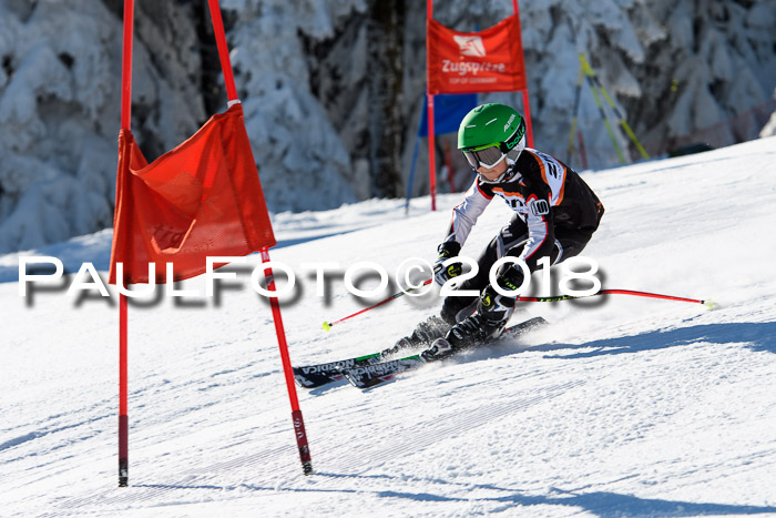 Ziener Cup WF, Finale, Quali + Parallelslalom, 24.03.2018