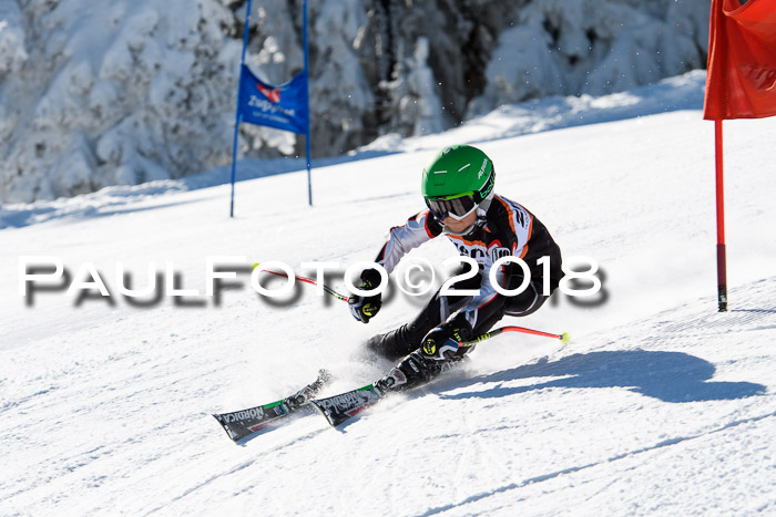 Ziener Cup WF, Finale, Quali + Parallelslalom, 24.03.2018