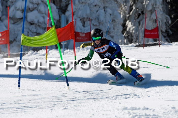 Ziener Cup WF, Finale, Quali + Parallelslalom, 24.03.2018