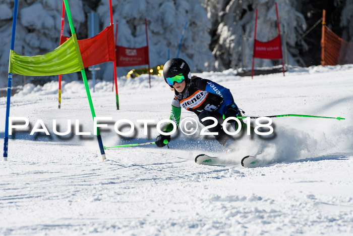 Ziener Cup WF, Finale, Quali + Parallelslalom, 24.03.2018