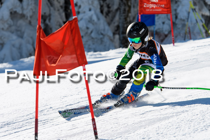 Ziener Cup WF, Finale, Quali + Parallelslalom, 24.03.2018