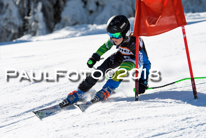 Ziener Cup WF, Finale, Quali + Parallelslalom, 24.03.2018