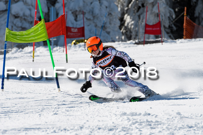 Ziener Cup WF, Finale, Quali + Parallelslalom, 24.03.2018