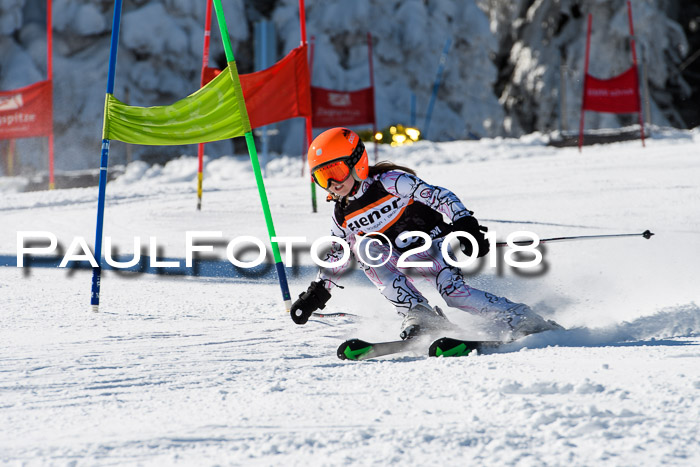 Ziener Cup WF, Finale, Quali + Parallelslalom, 24.03.2018