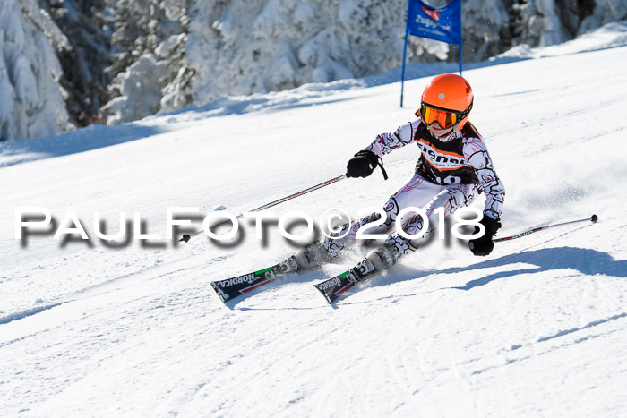 Ziener Cup WF, Finale, Quali + Parallelslalom, 24.03.2018