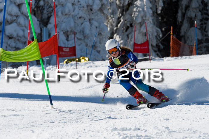 Ziener Cup WF, Finale, Quali + Parallelslalom, 24.03.2018
