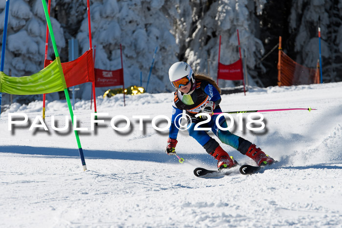 Ziener Cup WF, Finale, Quali + Parallelslalom, 24.03.2018
