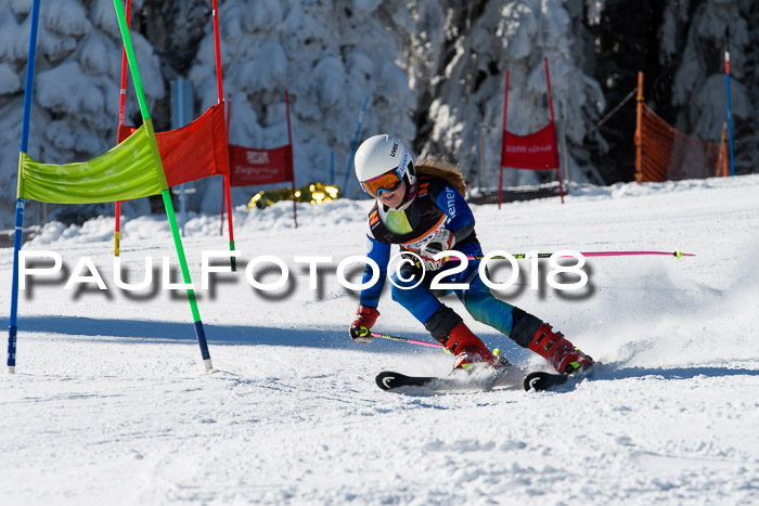 Ziener Cup WF, Finale, Quali + Parallelslalom, 24.03.2018
