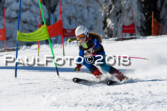Ziener Cup WF, Finale, Quali + Parallelslalom, 24.03.2018