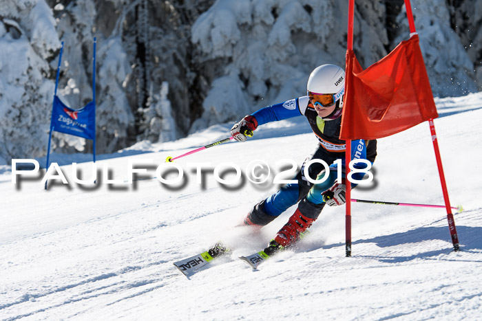 Ziener Cup WF, Finale, Quali + Parallelslalom, 24.03.2018
