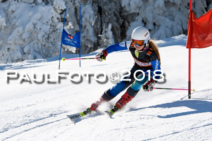 Ziener Cup WF, Finale, Quali + Parallelslalom, 24.03.2018