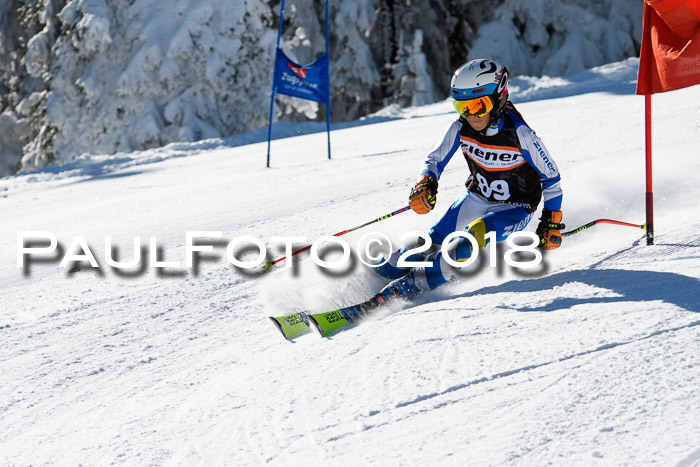 Ziener Cup WF, Finale, Quali + Parallelslalom, 24.03.2018