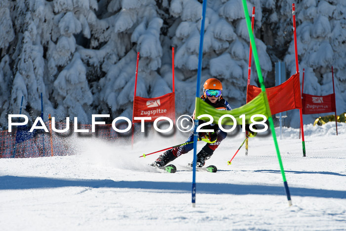 Ziener Cup WF, Finale, Quali + Parallelslalom, 24.03.2018