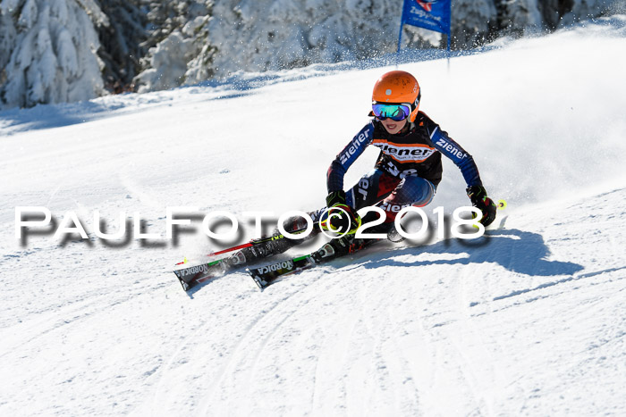 Ziener Cup WF, Finale, Quali + Parallelslalom, 24.03.2018