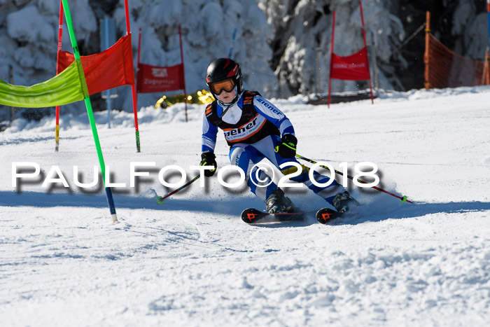 Ziener Cup WF, Finale, Quali + Parallelslalom, 24.03.2018