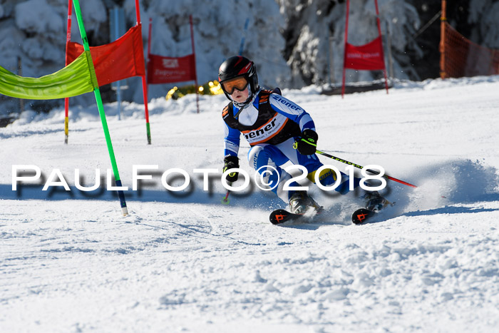 Ziener Cup WF, Finale, Quali + Parallelslalom, 24.03.2018