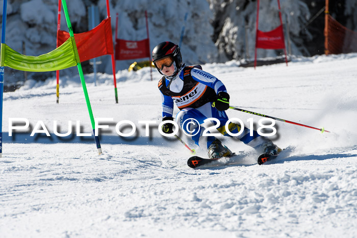 Ziener Cup WF, Finale, Quali + Parallelslalom, 24.03.2018