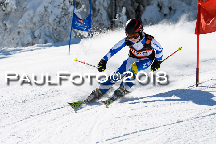 Ziener Cup WF, Finale, Quali + Parallelslalom, 24.03.2018