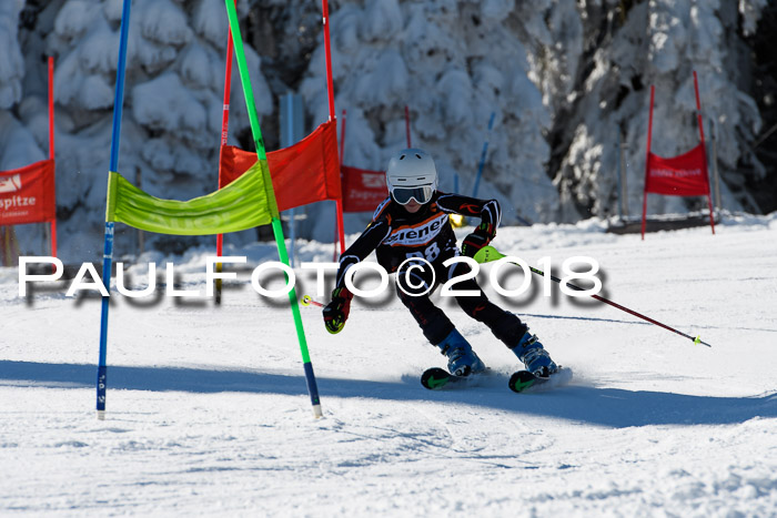 Ziener Cup WF, Finale, Quali + Parallelslalom, 24.03.2018