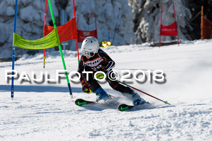 Ziener Cup WF, Finale, Quali + Parallelslalom, 24.03.2018