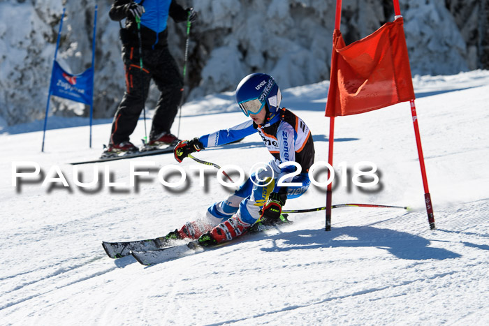 Ziener Cup WF, Finale, Quali + Parallelslalom, 24.03.2018