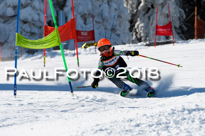 Ziener Cup WF, Finale, Quali + Parallelslalom, 24.03.2018