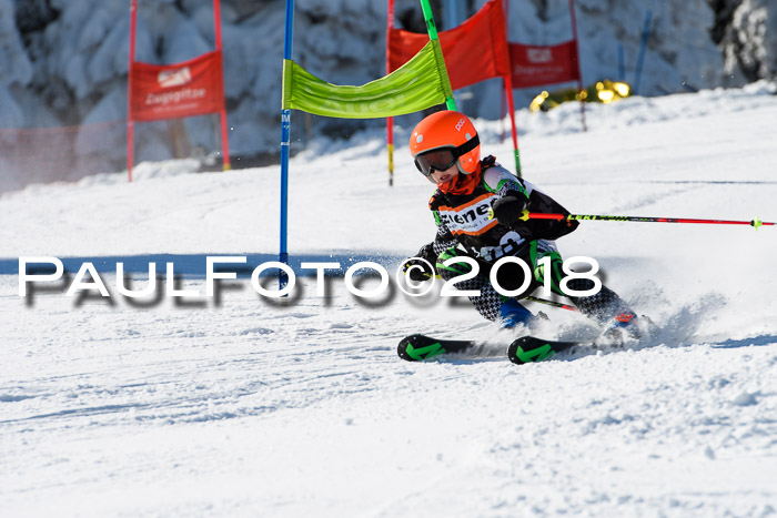 Ziener Cup WF, Finale, Quali + Parallelslalom, 24.03.2018