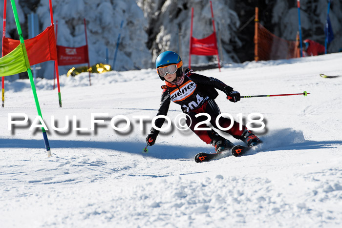 Ziener Cup WF, Finale, Quali + Parallelslalom, 24.03.2018