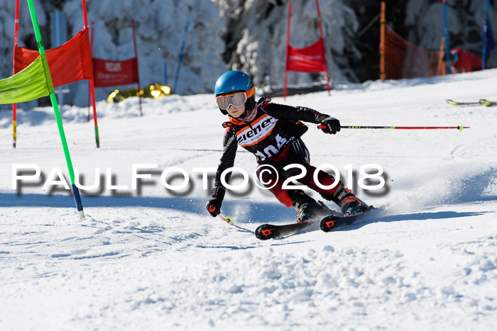Ziener Cup WF, Finale, Quali + Parallelslalom, 24.03.2018