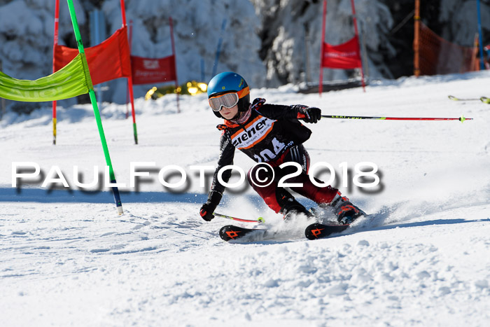 Ziener Cup WF, Finale, Quali + Parallelslalom, 24.03.2018