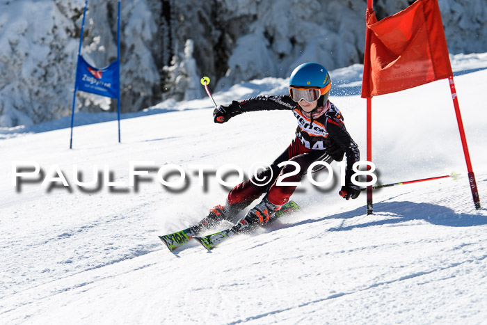 Ziener Cup WF, Finale, Quali + Parallelslalom, 24.03.2018