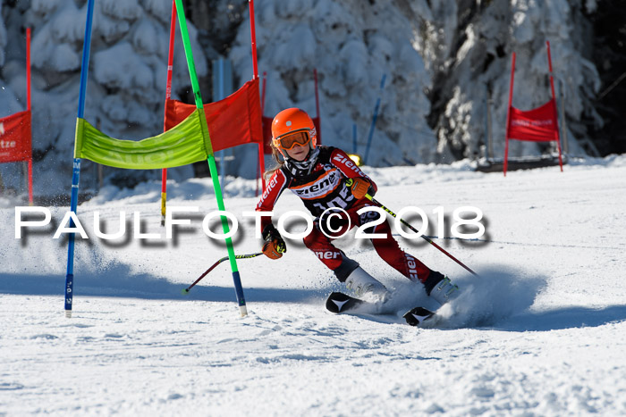 Ziener Cup WF, Finale, Quali + Parallelslalom, 24.03.2018