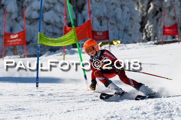 Ziener Cup WF, Finale, Quali + Parallelslalom, 24.03.2018