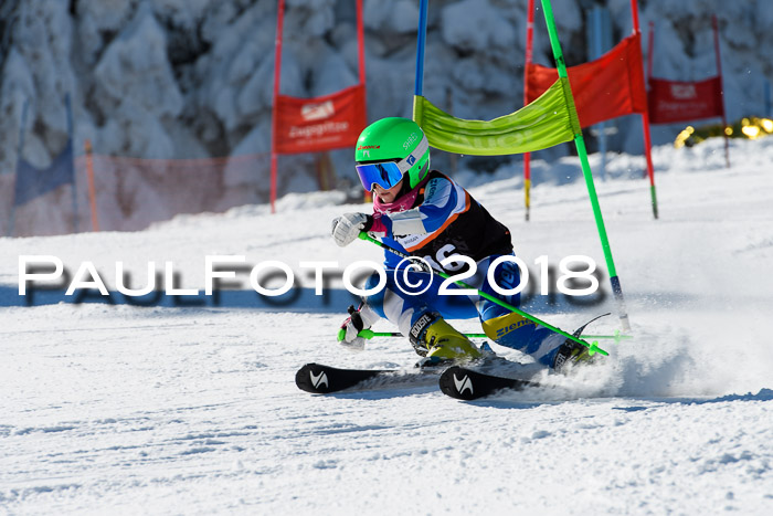 Ziener Cup WF, Finale, Quali + Parallelslalom, 24.03.2018