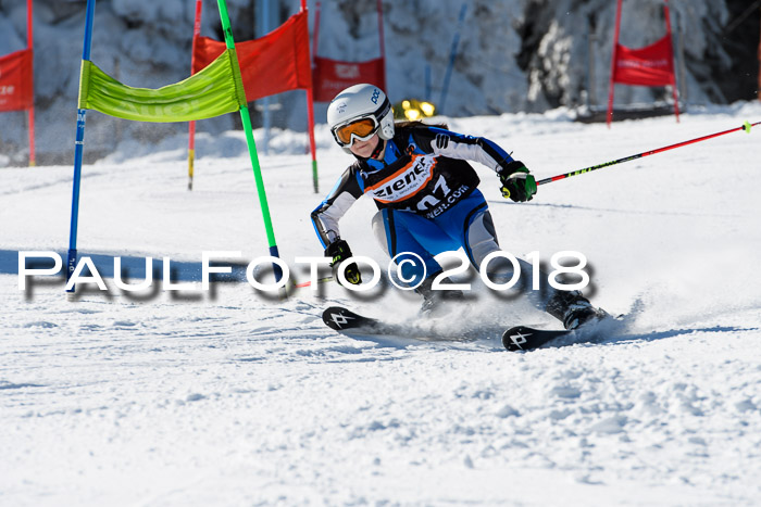 Ziener Cup WF, Finale, Quali + Parallelslalom, 24.03.2018