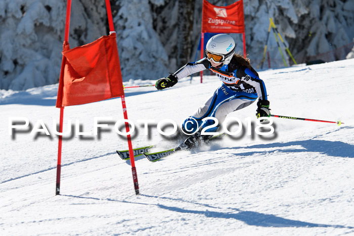 Ziener Cup WF, Finale, Quali + Parallelslalom, 24.03.2018