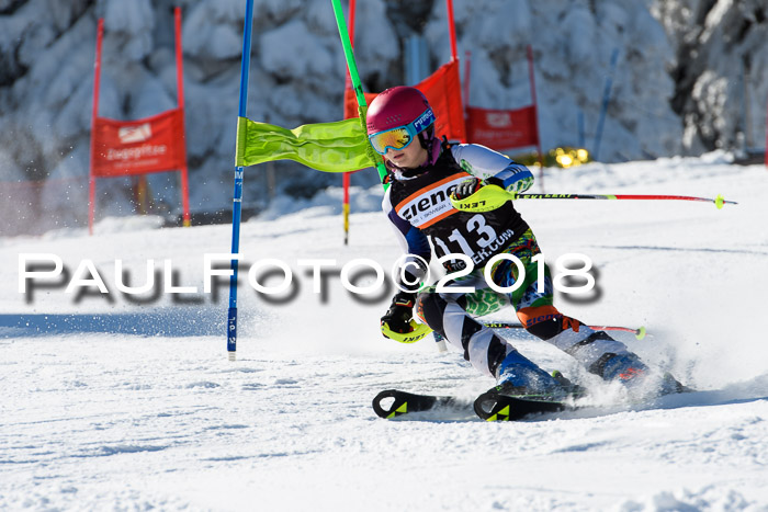 Ziener Cup WF, Finale, Quali + Parallelslalom, 24.03.2018