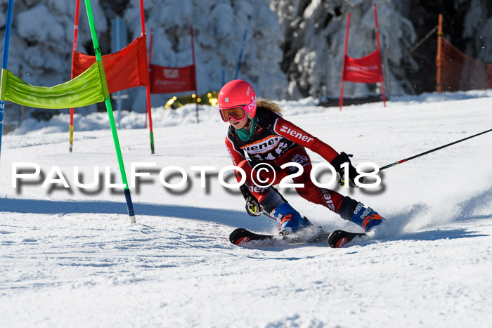 Ziener Cup WF, Finale, Quali + Parallelslalom, 24.03.2018