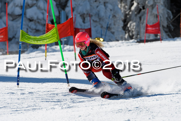 Ziener Cup WF, Finale, Quali + Parallelslalom, 24.03.2018