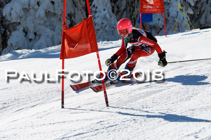 Ziener Cup WF, Finale, Quali + Parallelslalom, 24.03.2018