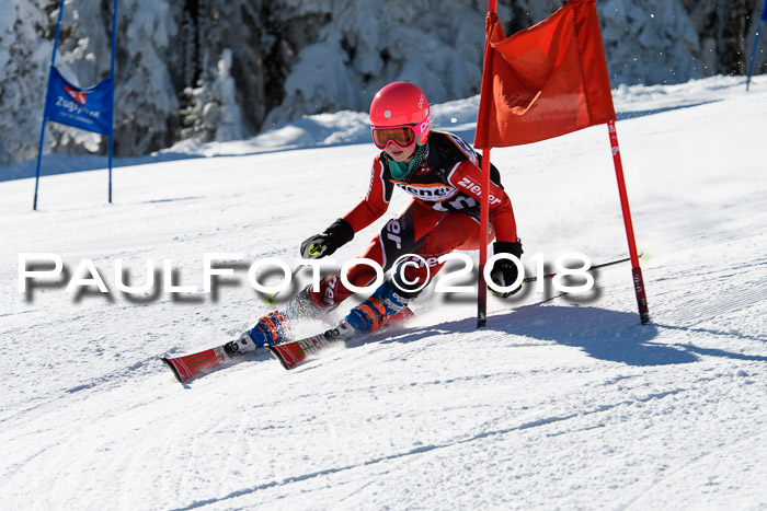Ziener Cup WF, Finale, Quali + Parallelslalom, 24.03.2018
