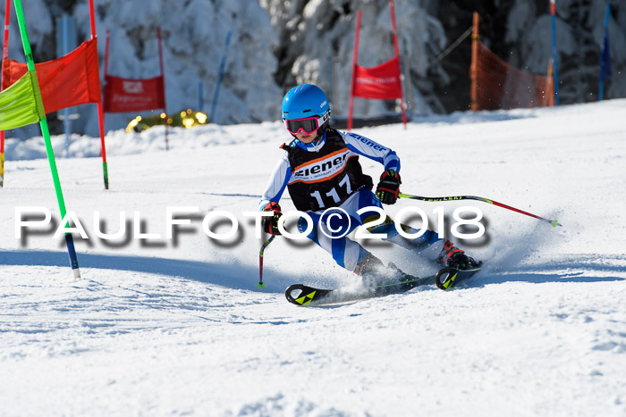 Ziener Cup WF, Finale, Quali + Parallelslalom, 24.03.2018
