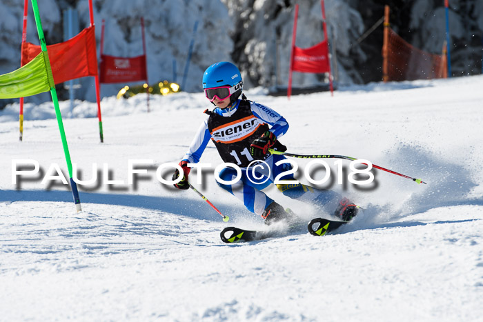 Ziener Cup WF, Finale, Quali + Parallelslalom, 24.03.2018