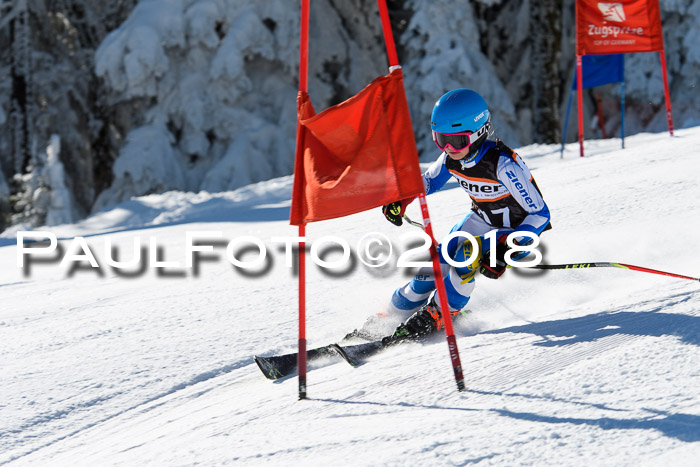 Ziener Cup WF, Finale, Quali + Parallelslalom, 24.03.2018