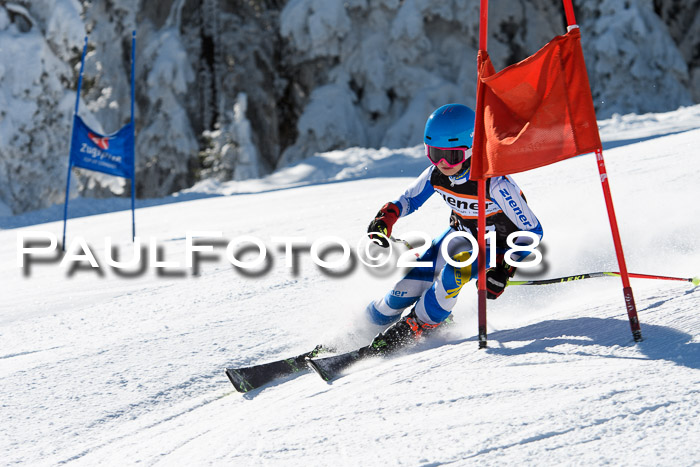 Ziener Cup WF, Finale, Quali + Parallelslalom, 24.03.2018