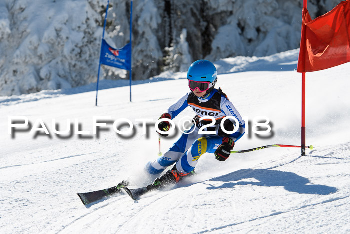 Ziener Cup WF, Finale, Quali + Parallelslalom, 24.03.2018