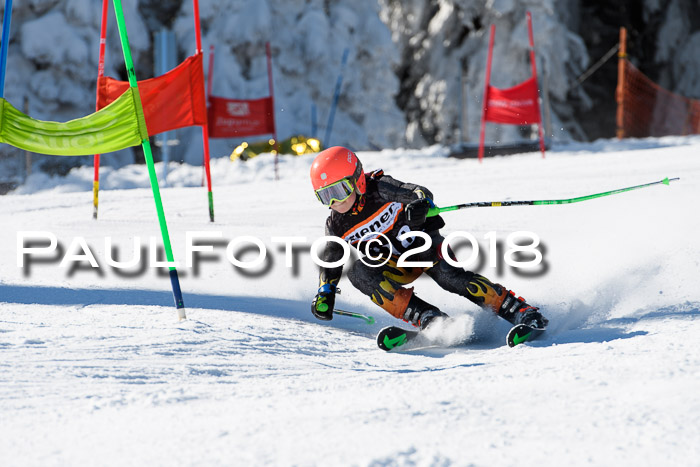 Ziener Cup WF, Finale, Quali + Parallelslalom, 24.03.2018